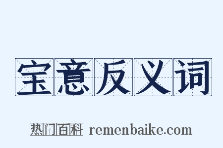 宝意反义词是什么意思的图片